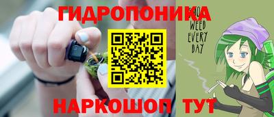 стаф Аша