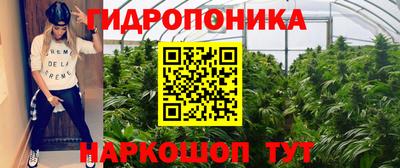сатива Баксан